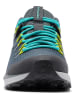 Columbia Wandelschoenen "Trailstorm" grijs/blauw