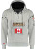 ANAPURNA Sweatshirt "Gymana" grijs