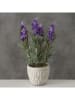 Boltze Kunstpflanze "Lavendel" in Lila - (H)32 cm