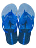 Ipanema Zehentrenner "Temas IX" in Blau
