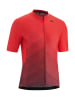 Gonso Koszulka kolarska "Bonhomme" w kolorze czerwonym