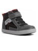 Geox Sneakers grijs
