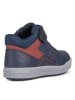 Geox Sneakers in Dunkelblau/ Rot