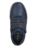 Geox Sneakers in Dunkelblau/ Rot