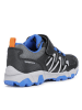 Geox Sneakers in Dunkelblau
