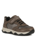 Geox Sneakers bruin/donkergrijs
