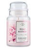 Purple River Duftkerze "Peony Blossom" in Rosa - 623 g