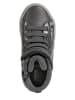Geox Sneakers in Grau