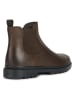 Geox Leder-Chelsea-Boots "Andalo" in Braun