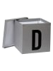 STORE IT Aufbewahrungskiste "D" in Grau - (B)30 x (H)30 x (T)30 cm