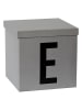 STORE IT Aufbewahrungskiste "E" in Grau - (B)30 x (H)30 x (T)30 cm