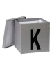 STORE IT Aufbewahrungskiste "K" in Grau - (B)30 x (H)30 x (T)30 cm