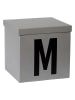 STORE IT Aufbewahrungskiste "M" in Grau - (B)30 x (H)30 x (T)30 cm