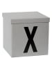 STORE IT Aufbewahrungskiste "X" in Grau - (B)30 x (H)30 x (T)30 cm