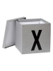 STORE IT Aufbewahrungskiste "X" in Grau - (B)30 x (H)30 x (T)30 cm