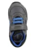 Geox Sneakers "Pavlis" in Grau/ Blau