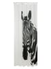 Sealskin Douchegordijn "Zebra" wit/zwart - (L)200 x (B)180 cm