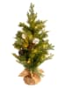 näve Ledkerstboom groen - (H)70 cm