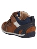 Geox Leder-Sneakers "Each" in Braun