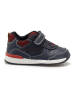 Geox Sneakers "Rishon" in Dunkelblau/ Rot