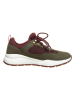 Timberland Sneakers "Boroughs" olijfgroen/bordeaux