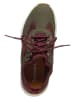 Timberland Sneakers "Boroughs" in Oliv/ Bordeaux