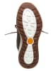 Timberland Sneakers "Boroughs" in Oliv/ Bordeaux