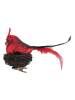 Krebs Glas Lauscha Kerstboomversiering "Vogel" rood - (B)20 cm