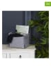 THE HOME DECO FACTORY 3-delige set: manden grijs