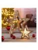 Profiline Decoratieve ledlampen "Wooden Star" warmwit - 2 stuks