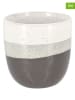 Ogo Living 6er-Set: Espressobecher "Riga" in Grau - 110 ml