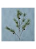 Boltze Decoratieve tak "Tanne" bruin/groen - (H)120 cm