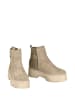 Moosefield Leder-Chelsea-Boots in Beige