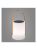 FH Lighting LED-Solarleuchte "Bari" mit Farbwechsel in Weiß - (H)34 cm