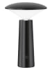 FH Lighting Ledbuitenlamp "Pinto" zwart - (H)21 cm