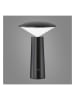 FH Lighting Lampa zewnętrzna LED "Pinto" w kolorze czarnym - wys. 21 cm