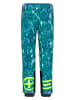 Chiemsee Ski-/snowboardbroek groen