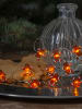 STAR Trading Ledlichtketting "Dew Drop" lichtbruin - (L)110 cm