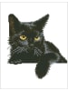 DIAMOND DOTZ Zestaw kreatywny "Diamond Painting Black Cat" - 4+
