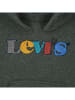 Levi's Kids Hoodie in Grün