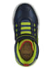 Geox Sneakers "Grayjay" donkerblauw/limoengroen