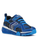 Geox Sneakers "Bayonyc" in Blau