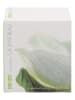 Kenzo Ca Sent Beau - eau de toilette, 50 ml