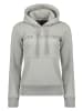 Geographical Norway Hoodie "Gadislava" grijs