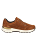 Ara Shoes Leder-Sneakers in Hellbraun