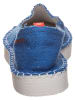 Havaianas Slipper in Blau