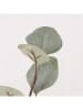 Boltze Dekoracyjna gałązka "Eukalyptus" w kolorze zielonym - dł. 69 cm