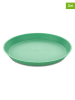 koziol 4-delige set: borden "Connect" groen - Ø 20,5 cm