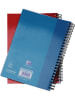 Oxford Kołozeszyty (5 szt.) w kolorze niebiesko-czerwonym - A5