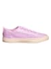 TOMS Sneakers "Lenny" in Pink